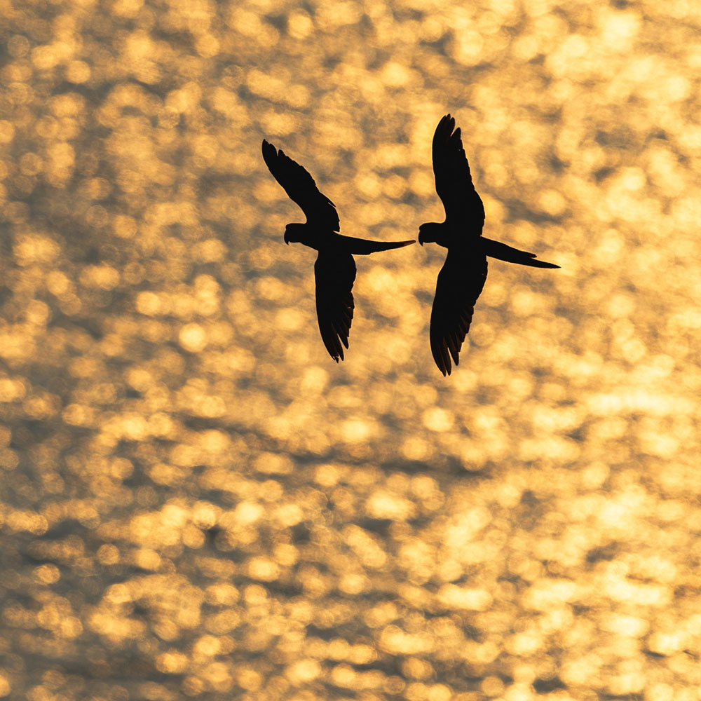 Personalized Partnership